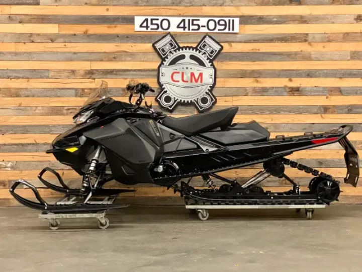 2022 BRP SKI-DOO RENEGADE BACKCOUNTRY STD 600R E-TEC 146'' X 1.6'' COBRA 